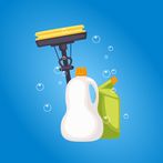 Ducky Cleaning Company