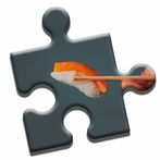 Japanese Food Puzzle