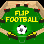 Flip Football Pro