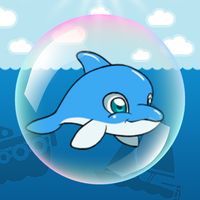 Dolphin Rush Time