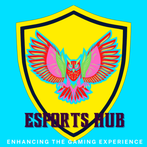 eSports Hub - perfect scrims