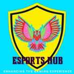eSports Hub - perfect scrims