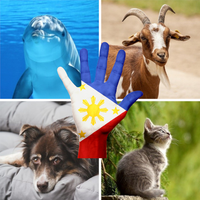 Tagalog Animals Quiz