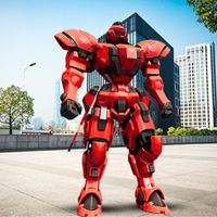 Cat-Robot Transformation Game