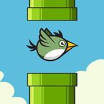 flying bird