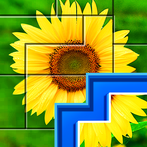 Puzzles: Jigsaw Puzzle Games