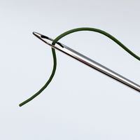 Needle Thread 3D
