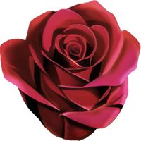 Rosegreenhouse