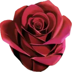 Rosegreenhouse