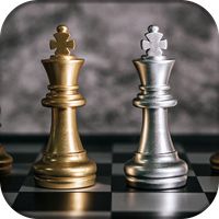 The Chess 3D