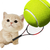 NewBee Studio
