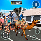 Passenger Camel Taxi Driving