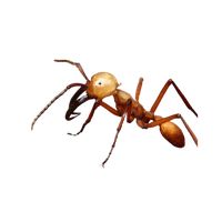 앤트워2-개미들의 전쟁