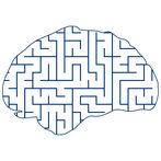 Brain Maze