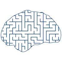 Brain Maze