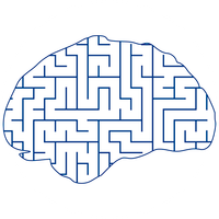 Brain Maze