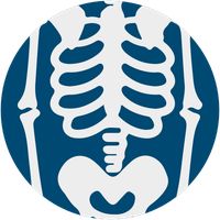 جسم الانسان