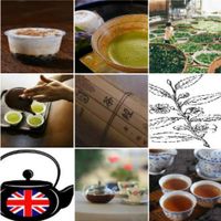 Happy Tea Time - Trivia Quiz