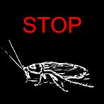 Stop the Cockroach!