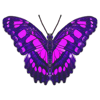 Butterfliestry