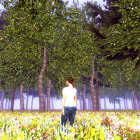 Heart of Nature Story