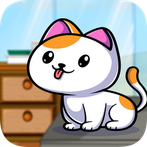 Cats & Dogs Doctor Care