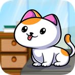 Cats & Dogs Doctor Care