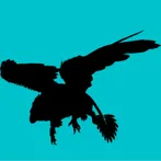 ARK Quiz