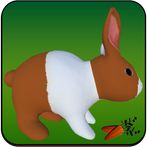 Feed The Bunnies