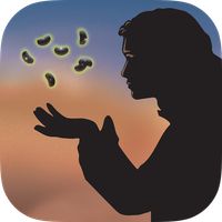 Jack and the Wonderbeans