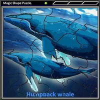 Magic Shape Puzzle 3