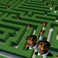Abunga Maze