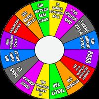 Çarkıfelek Sorularla (Şişe Çev