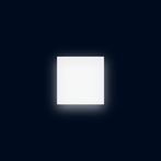 커트: An Infinite Square 순발력 게임