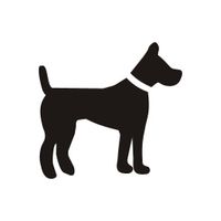 Dogs Quiz: Guess and Learn the
