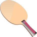 PlayPingPong