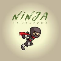 Angry Ninja Adventure