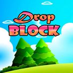 Drop Block