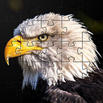 Animals jigsaw puzzles games