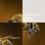 PicturePuzzle - Inspiration an