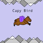Capy bird