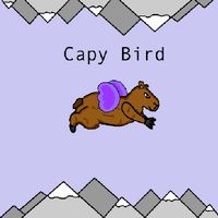 Capy bird