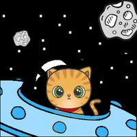 Ufocat