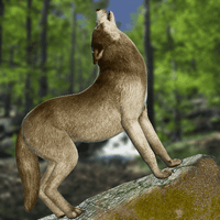 Wild Wolf Simulator Wolf Craft