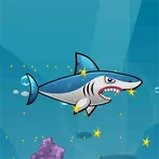 Shark Safari
