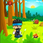 Ninja of Nevaeh