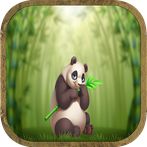 Bashful Panda Escape