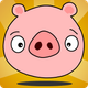Bouncing Piggy Bacon Adventure