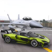 Fast Car Race: McLaren Senna