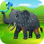Animals Cleaning & Caring